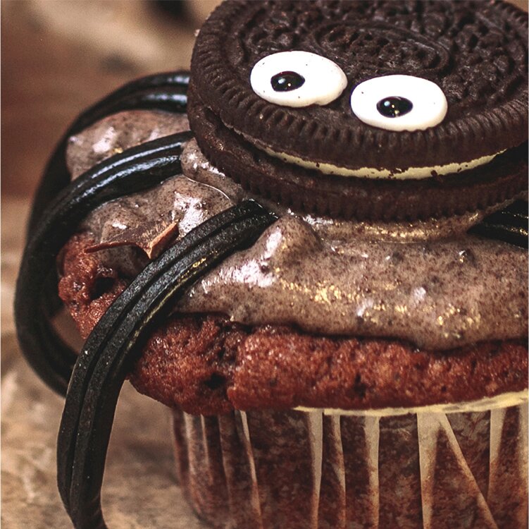 image2-spinnen-cupcakes.jpg