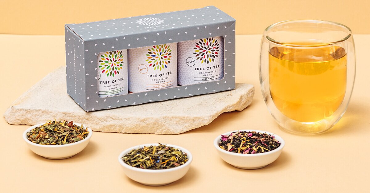 Tree of Tea Bunte Mischung Tee Minis Set in einer grauen Geschenkbox