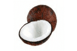 Les copeaux de noix de coco amènent une touche des Caraïbes à votre muesli